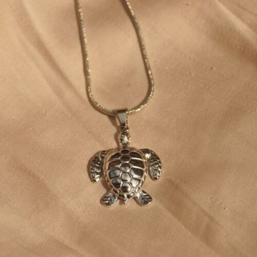 Silver turtle steel chain