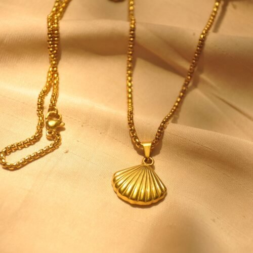 Gold shell steel chain
