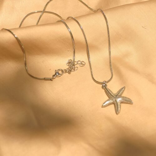 Silver starfish steel chain