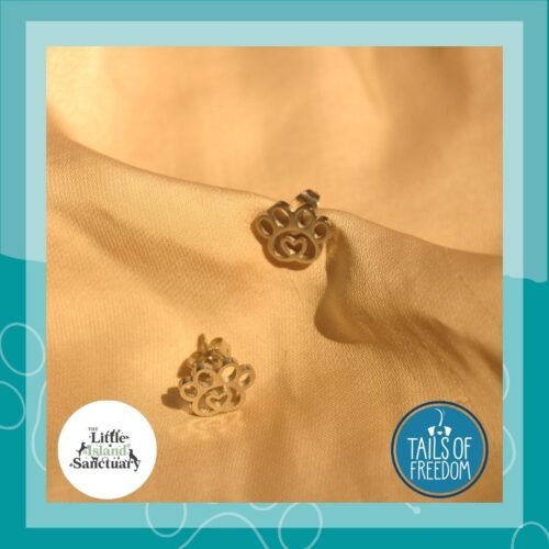 Silver heart paw steel studs