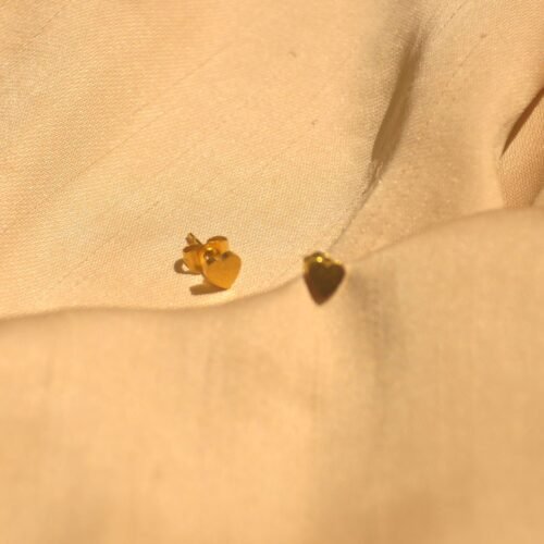Amara heart steel studs